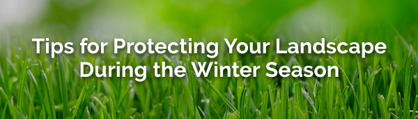 tips-for-protecting-landscape-during-winter-season-banner.jpg