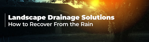 landscape-drainage-solutions.jpg