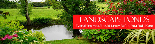 landscape-ponds-feature.jpg