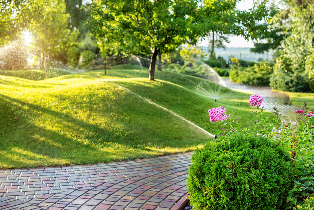 Sprinkler Systems Hillsborough Irrigation