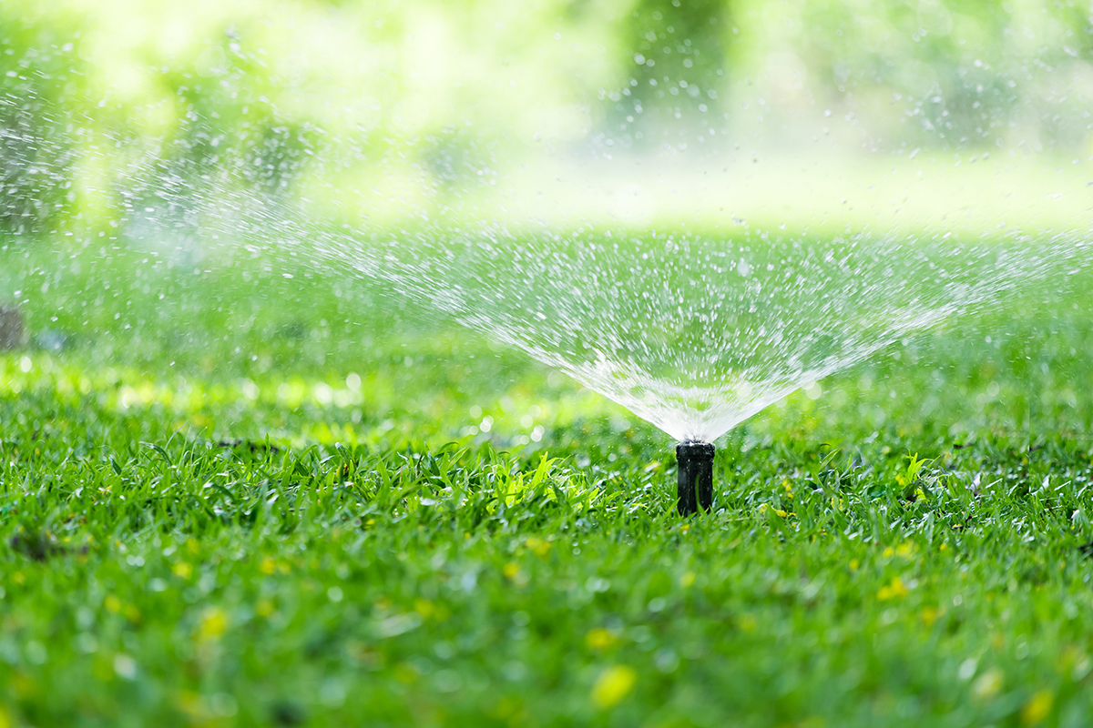 Denver Water Sprinkler Times